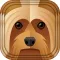 Animals in Casuals