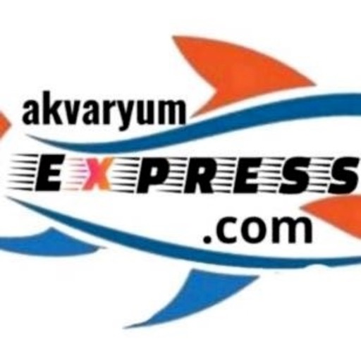 Akvaryum Express Akvaryum Express