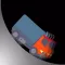 Reverse Video
