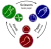 RockPaperScissors