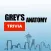 Quiz for Grey's Anatomy