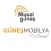 Niyazi Güneş Mobilya