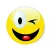 Wink Wink
