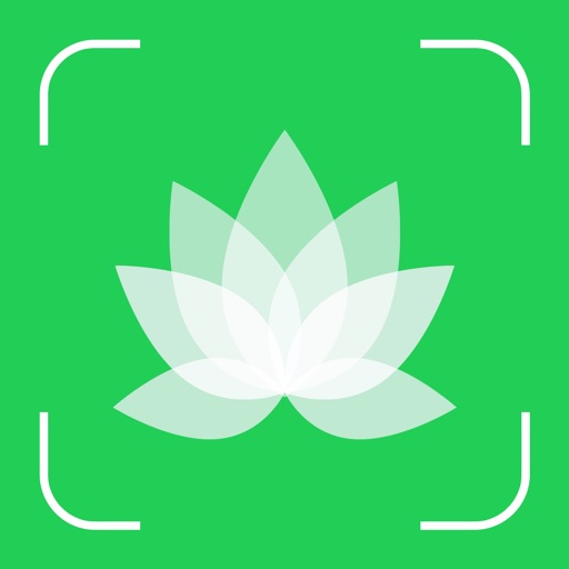 Plant Snap : Identify Plant Plant Snap : Identify Plant