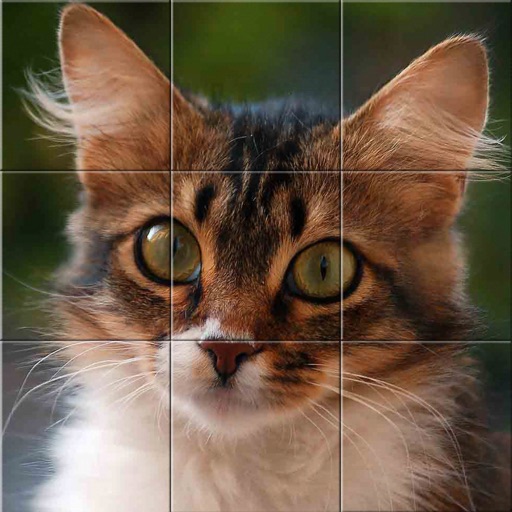 Easy cat puzzle Easy cat puzzle