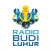 Radio Budi Luhur.