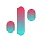 TikReports Analytics & Reports