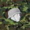 Army Heads