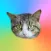 Cat Stickers Meow