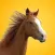 Horse Heroes