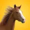 Horse Heroes