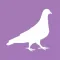 The Pigeon Stickers