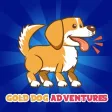 Gold Dog Adventures Gold Dog Adventures