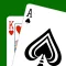 Card Counting Coach