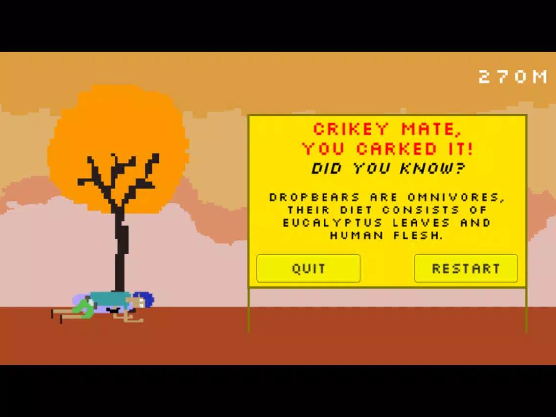 Tangkapan layar Down Under Dash iPad 