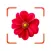 Plant Identifier - FindPlant