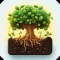 Long Roots