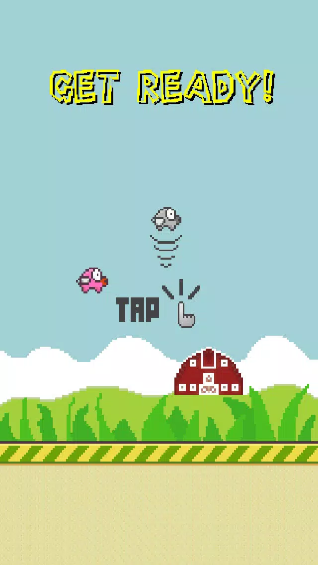 صور Flappy Fly Pig