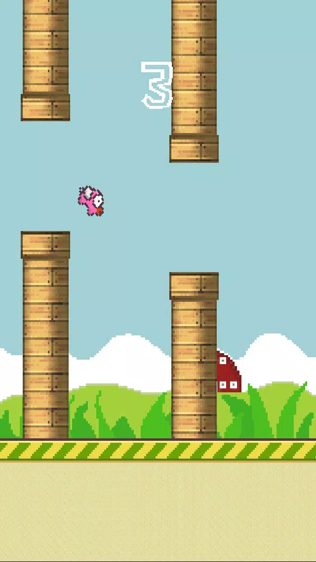 صور Flappy Fly Pig