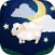 Counting Sheep Magic Sleep