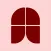 Nota App