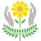 APAE Campinas NotaBê