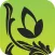 Plants Pedia: North America Trees & Flowers Scientific Reference