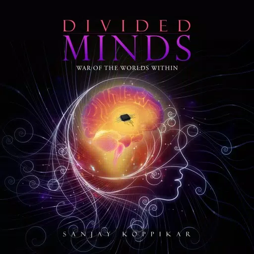 Divided Minds Divided Minds