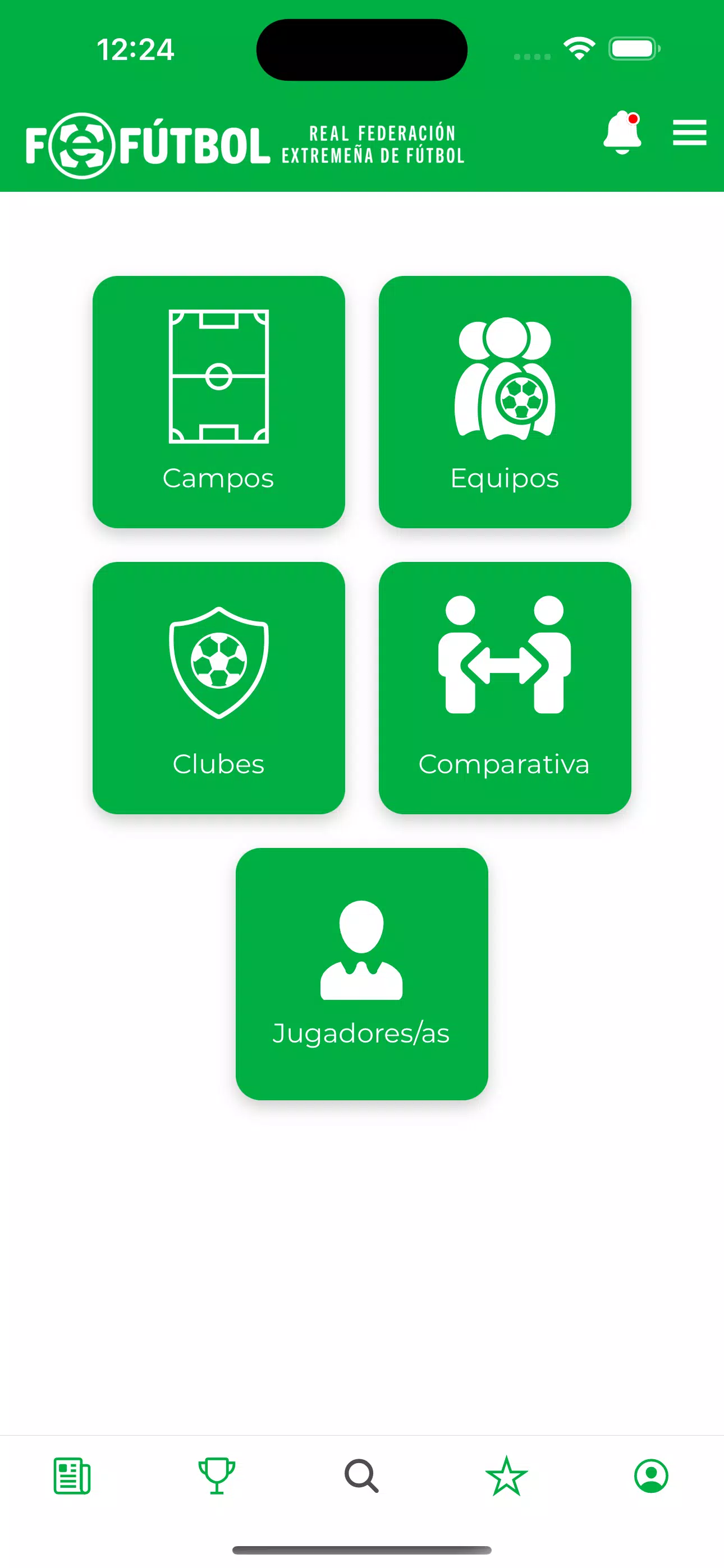 FEXFUTBOL Screenshots