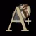 Aviar - Photo Editor