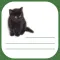 Kitty List