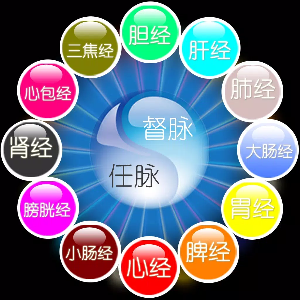 3D针灸穴位 3D针灸穴位