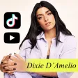 All Dixie D'Amelio Song