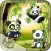 Jewel Panda HD