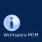 Workspace MDM with i-FILTER