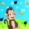 Monkey Food