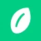 NuLife Virtual