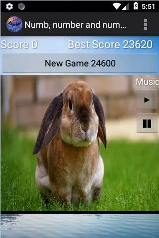numb, number & numberer champ Screenshots