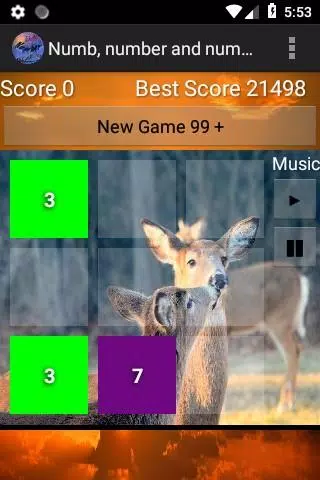 numb, number & numberer champ Screenshots