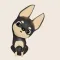 Mini Pinscher Coco's Day