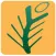 Pine Tree Wellness Spa