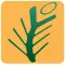 Pine Tree Wellness Spa