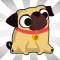 aMAZEing Pug