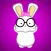 NERDY BUNNY