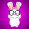 NERDY BUNNY