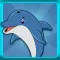 Ocean Adventures 2021