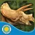 Triceratops Gets Lost