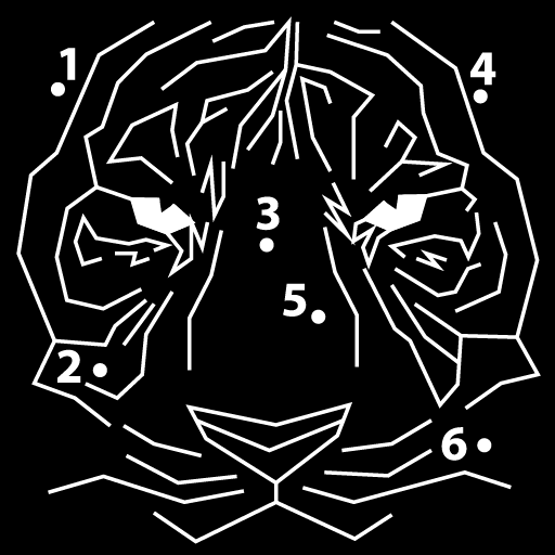 Dot to Dot Puzzles
