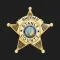 Stanly County Sheriff NC