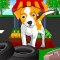 Locked Car Dog Escape